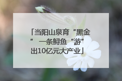 当阳山泉育“黑金” 一条鲟鱼“游”出10亿元大产业