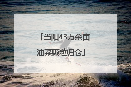 当阳43万余亩油菜颗粒归仓