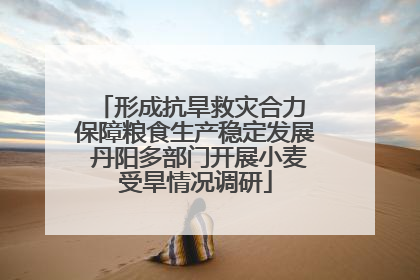 形成抗旱救灾合力 保障粮食生产稳定发展 丹阳多部门开展小麦受旱情况调研