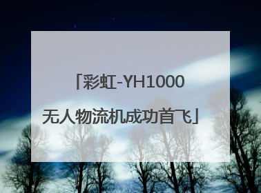 彩虹-YH1000无人物流机成功首飞