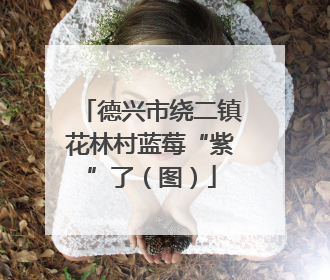 德兴市绕二镇花林村蓝莓“紫”了（图）