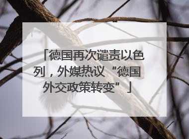 德国再次谴责以色列，外媒热议“德国外交政策转变”