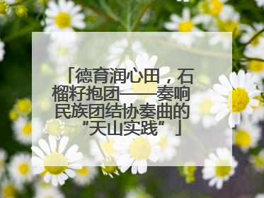 德育润心田，石榴籽抱团——奏响民族团结协奏曲的“天山实践”