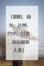 德阳、南充、达州、巴中、甘孜、凉山最新人事