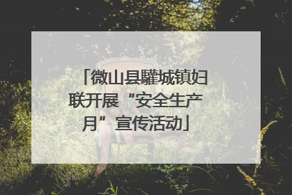 微山县驩城镇妇联开展“安全生产月”宣传活动