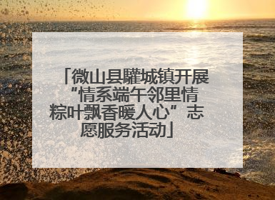 微山县驩城镇开展“情系端午邻里情 粽叶飘香暖人心”志愿服务活动