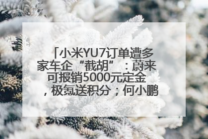 小米YU7订单遭多家车企“截胡”：蔚来可报销5000元定金，极氪送积分；何小鹏下单YU7，喊话雷军早点交付