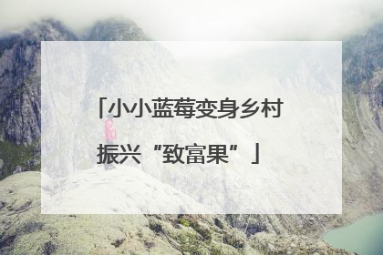 小小蓝莓变身乡村振兴“致富果”