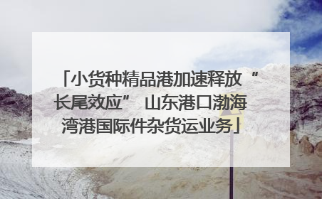 小货种精品港加速释放“长尾效应” 山东港口渤海湾港国际件杂货运业务