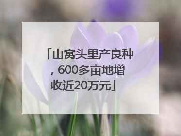 山窝头里产良种，600多亩地增收近20万元