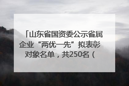 山东省国资委公示省属企业“两优一先”拟表彰对象名单，共250名（个）党员和党组织