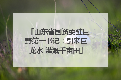 山东省国资委驻巨野第一书记：引来巨龙水 灌溉千亩田