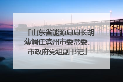 山东省能源局局长胡薄调任滨州市委常委、市政府党组副书记