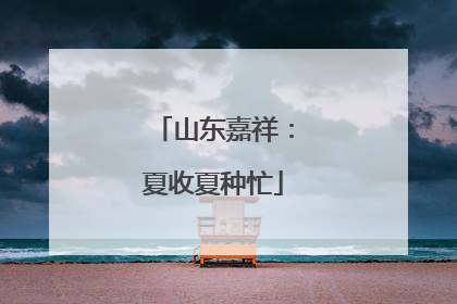 山东嘉祥：夏收夏种忙