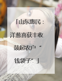 山东惠民：洋葱喜获丰收 鼓起农户“钱袋子”