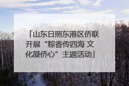 山东日照东港区侨联开展“粽香传四海 文化凝侨心”主题活动