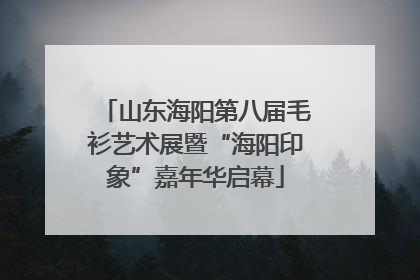 山东海阳第八届毛衫艺术展暨“海阳印象”嘉年华启幕