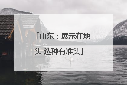 山东：展示在地头 选种有准头