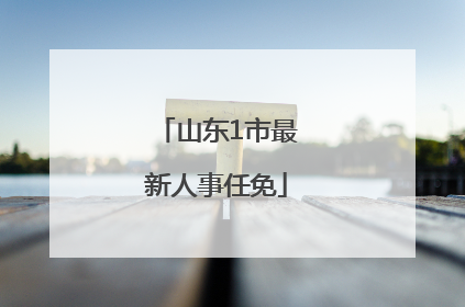 山东1市最新人事任免