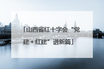 山西省红十字会“党建＋红建”谱新篇