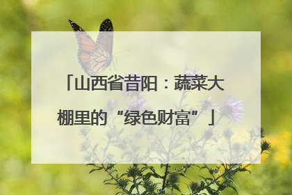 山西省昔阳：蔬菜大棚里的“绿色财富”