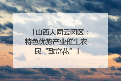 山西大同云冈区：特色优势产业催生农民“致富花”