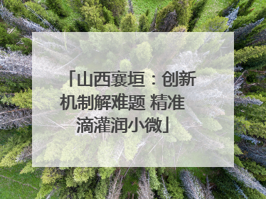 山西襄垣：创新机制解难题 精准滴灌润小微