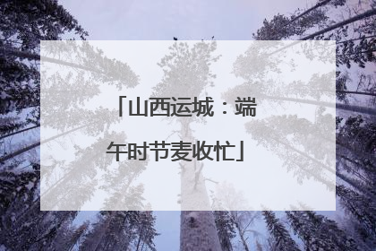山西运城：端午时节麦收忙