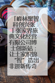 峰林聚智 科创兴张丨张家界旅典文化经营有限公司博士创新站：让土家织锦“智”造出非遗新传奇