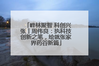 峰林聚智 科创兴张丨周伟良：执科技创新之笔，绘就张家界药谷新篇
