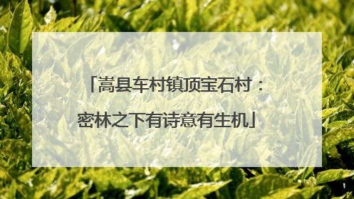 嵩县车村镇顶宝石村：密林之下有诗意有生机