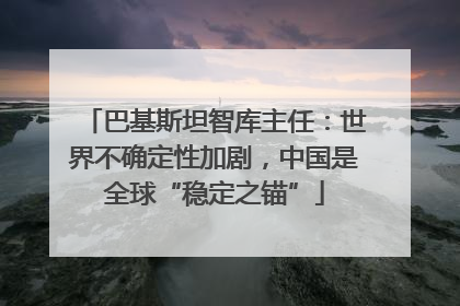 巴基斯坦智库主任：世界不确定性加剧，中国是全球“稳定之锚”