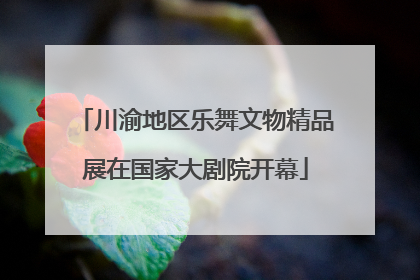 川渝地区乐舞文物精品展在国家大剧院开幕