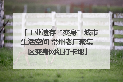 工业遗存“变身”城市生活空间 常州老厂聚集区变身网红打卡地