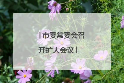 市委常委会召开扩大会议