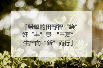 希望的田野智“绘”好“丰”景 “三夏”生产向“新”而行