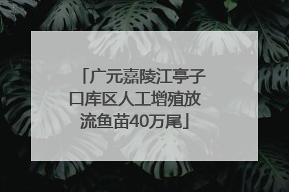 广元嘉陵江亭子口库区人工增殖放流鱼苗40万尾