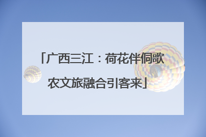 广西三江：荷花伴侗歌 农文旅融合引客来
