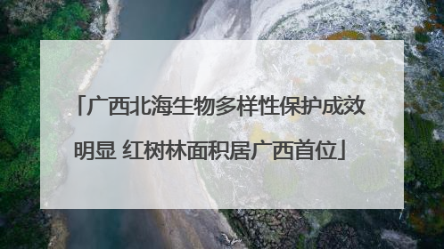 广西北海生物多样性保护成效明显 红树林面积居广西首位