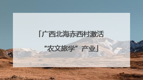 广西北海赤西村激活“农文旅学”产业