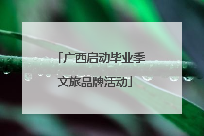 广西启动毕业季文旅品牌活动
