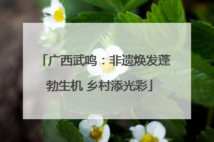 广西武鸣：非遗焕发蓬勃生机 乡村添光彩