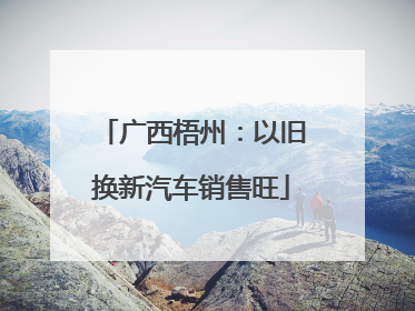 广西梧州：以旧换新汽车销售旺