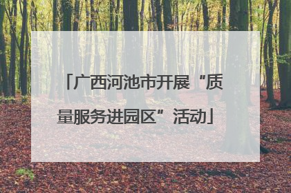 广西河池市开展“质量服务进园区”活动
