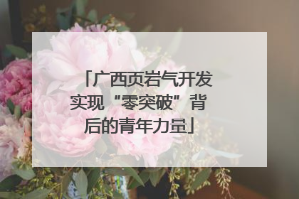 广西页岩气开发实现“零突破”背后的青年力量