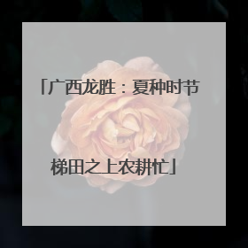 广西龙胜：夏种时节 梯田之上农耕忙