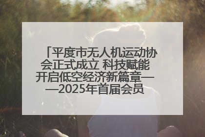 平度市无人机运动协会正式成立 科技赋能开启低空经济新篇章——2025年首届会员大会暨无人机应用发展论坛成功举办
