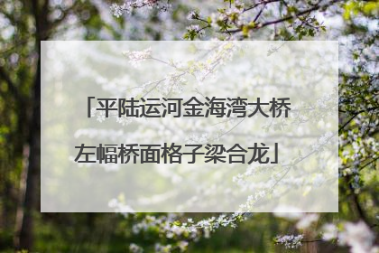平陆运河金海湾大桥左幅桥面格子梁合龙