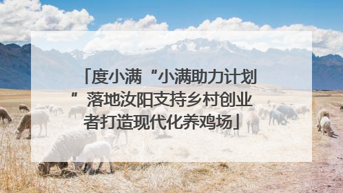 度小满“小满助力计划”落地汝阳支持乡村创业者打造现代化养鸡场