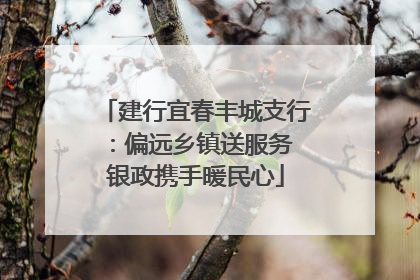 建行宜春丰城支行：偏远乡镇送服务 银政携手暖民心